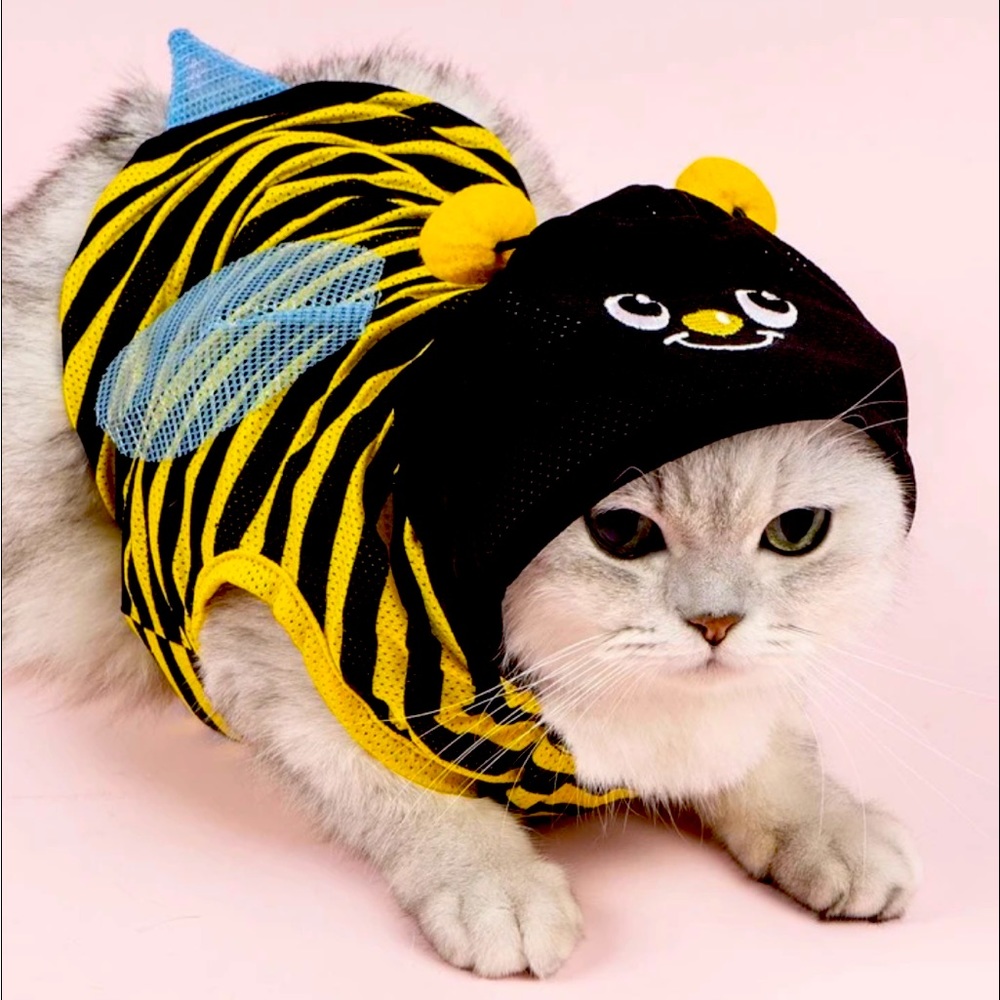 Dog / Cat Bumble Bee Costume Hoodie Halloween NEW